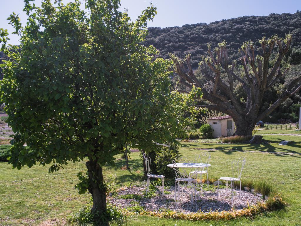 Bed and Breakfast Le Mas De La Fontaine Le Pegue Exteriér fotografie