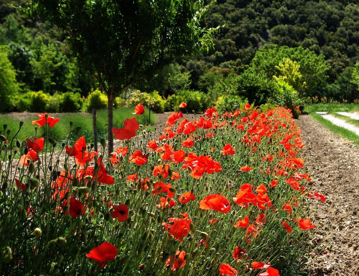 Bed and Breakfast Le Mas De La Fontaine Le Pegue Exteriér fotografie
